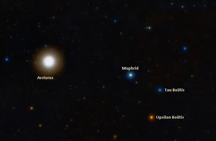 arcturus star,muphrid star