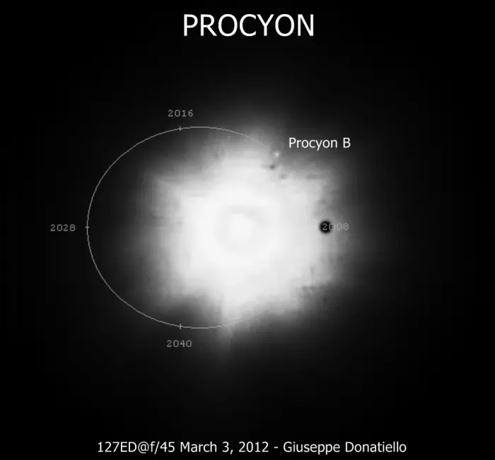 procyon and white dwarf companion