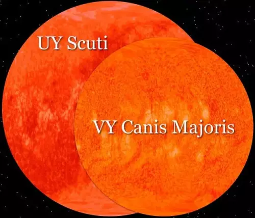 uy scuti vs vy canis majoris