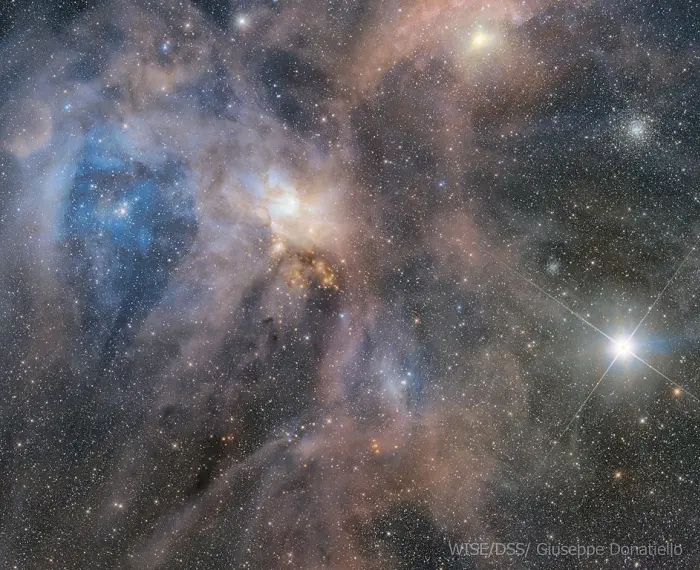 antares and rho ophiuchi region