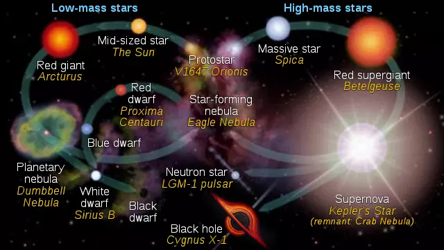 evolution of stars,stellar evolution