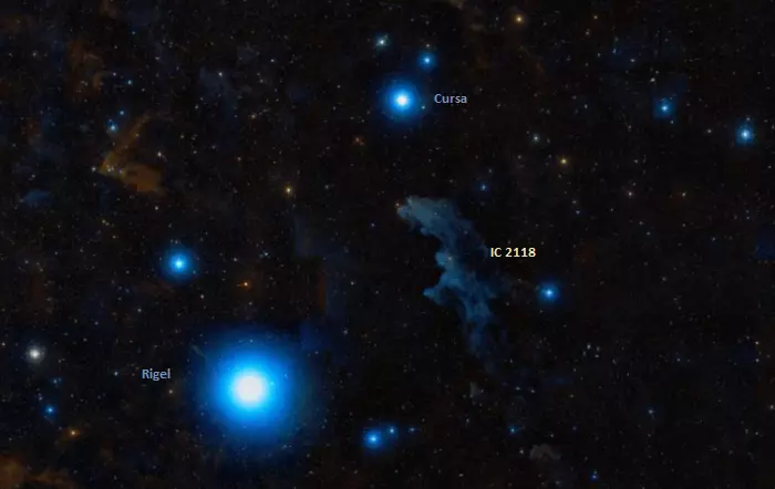 rigel star,cursa star,ic 2118,witch head nebula