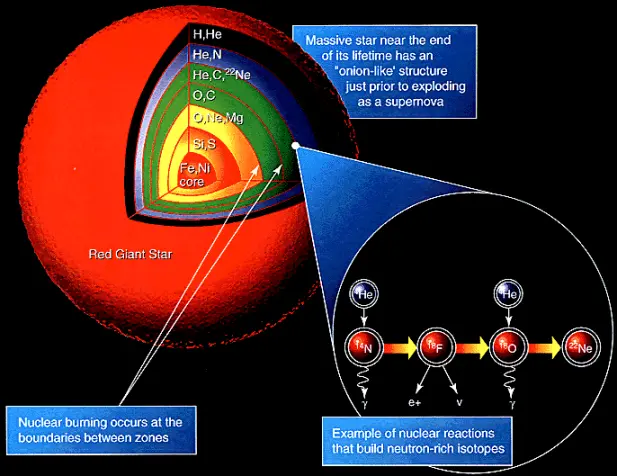 structure of a red supergiant