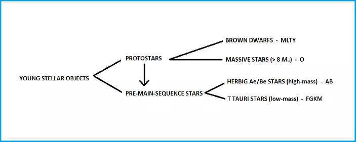 evolution of young stars