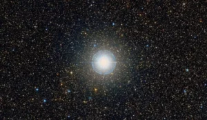 tureis star,rho puppis