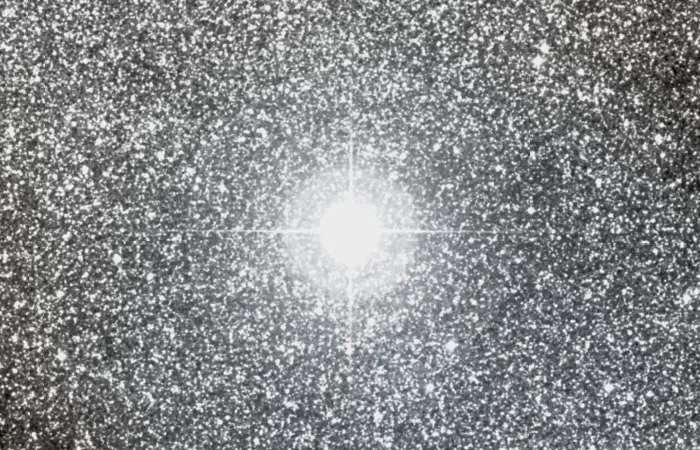 alnasl star,gamma2 sagittarii