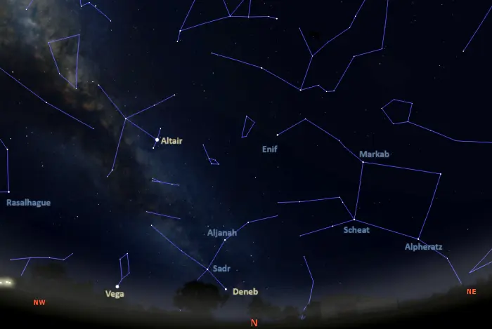 stars visible in the northern sky in the southern hemisphere tonight