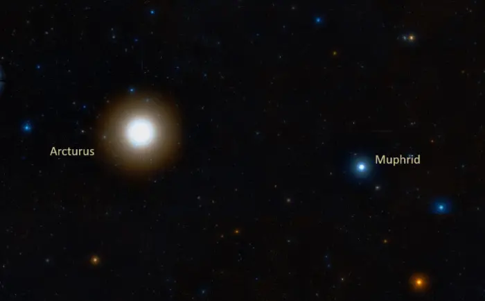 muphrid and arcturus,arcturus and eta bootis