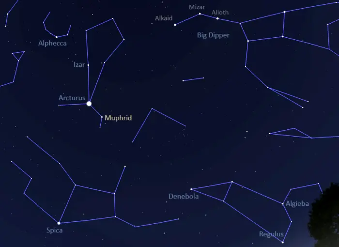 Eta Boötis location,how to find muphrid,where is muphrid in the sky