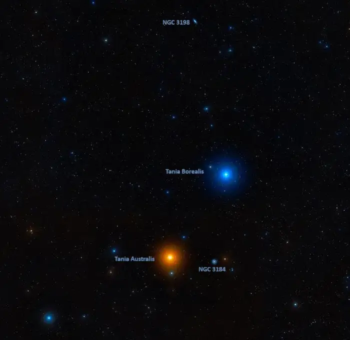 galaxies near tania australis and tania borealis