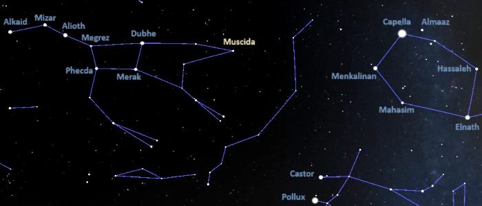 how to find muscida,where is muscida in the sky