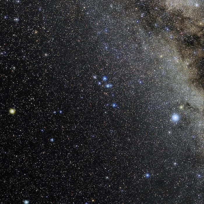 delphinus constellation,delphinus stars