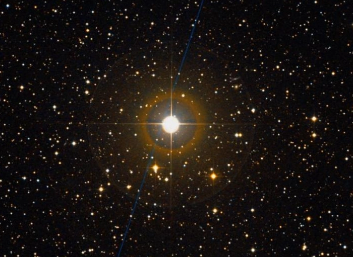 musica star,18 delphini