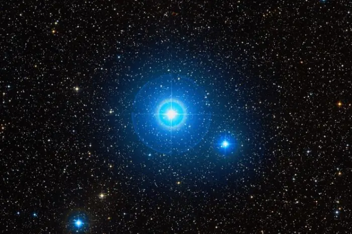 sualocin star,alpha delphini