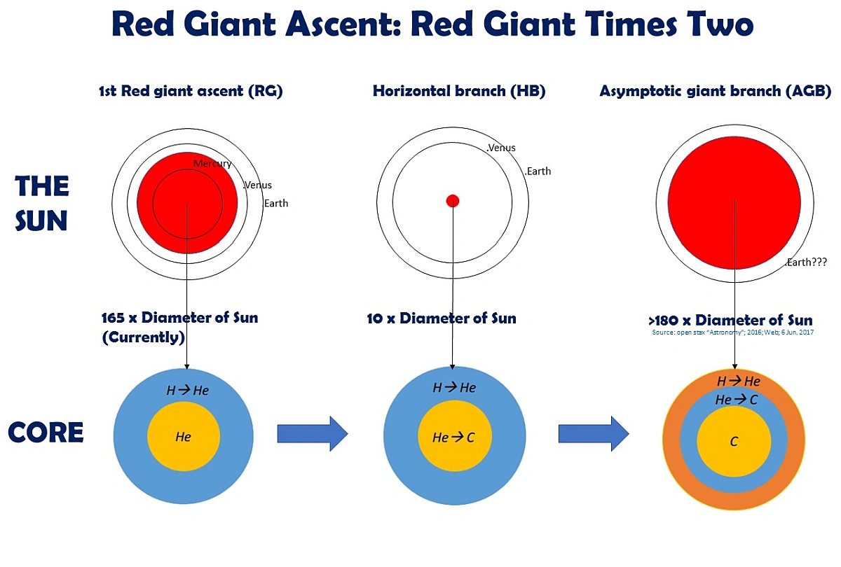 red giant phase of intermediate-mass stars