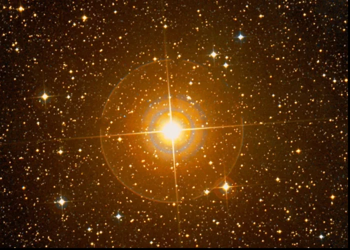 alpha apodis,paradys star