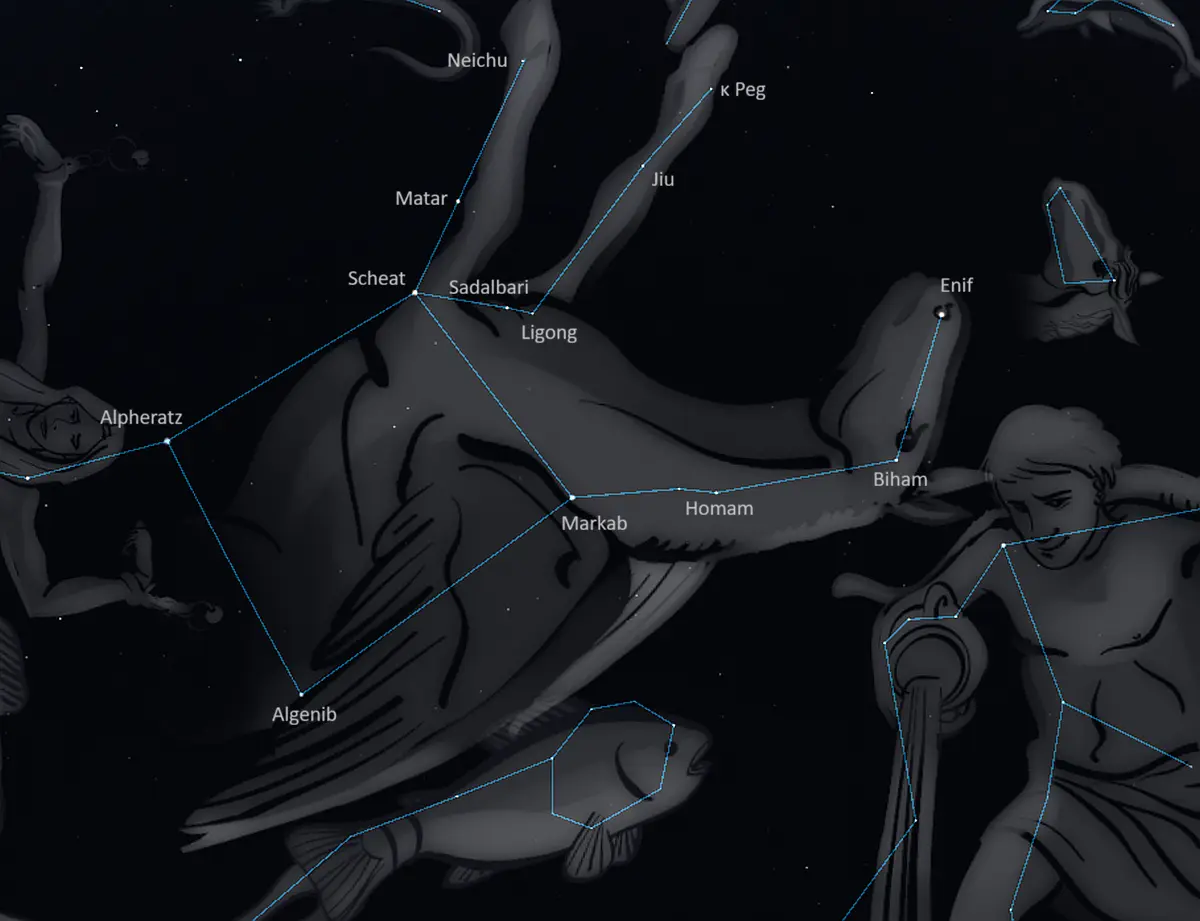 constellation pegasus,pegasus stars